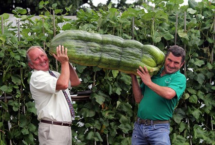 Gardener-Phillip-Vowles-a-010