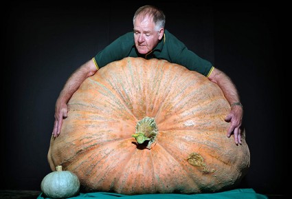 Giant-pumpkin-at-the-Roya-011