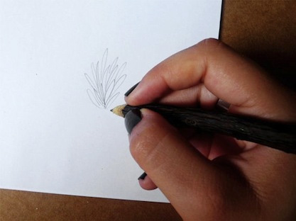 Licorice-Pencil_1