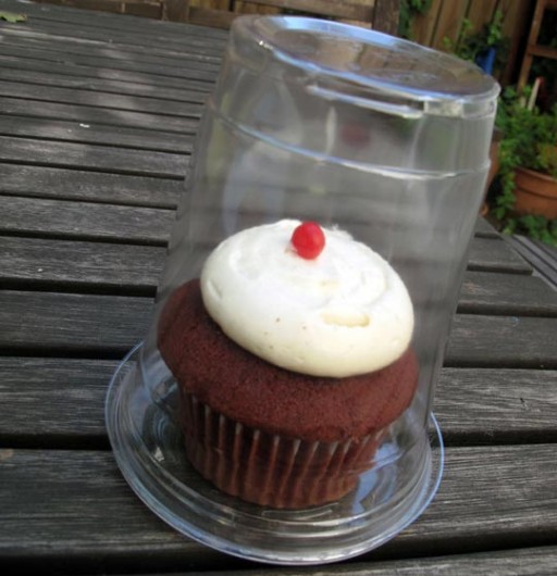 2012_01_03-Cupcake
