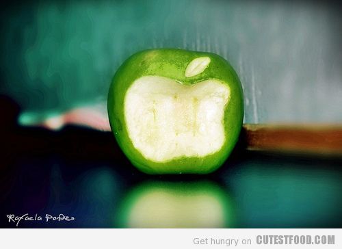 CutestFood_com_6032360347_cef8c73d51_z_large1