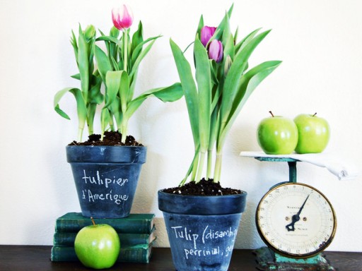 original_Marian-Parsons-chalkboard-pots-beauty_s4x3_lg