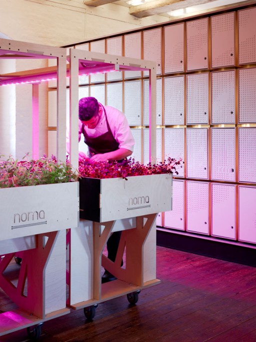3XN-NOMA-Lab-An-Architectural-Cookbook-for-the-Nordic-Cuisine-yatzer-15