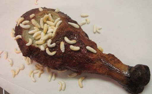 chicken-maggots_2216938k