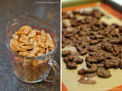 iceCream_chocolatePeanutButter1