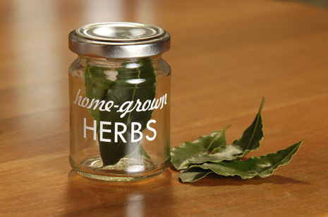 herb jar