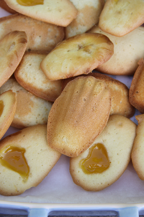 Madeleines-inschaal