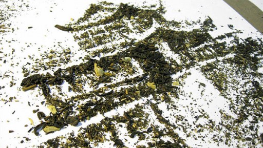 Triptea6