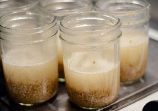 oats5
