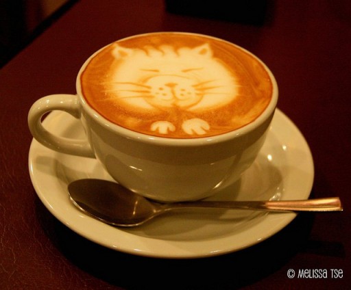 Cat-Coffee-Art