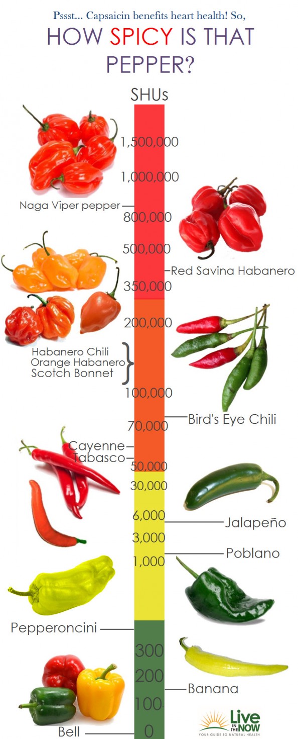 Handige tabel: hoe zijn verschillende pepers? - Culy.nl