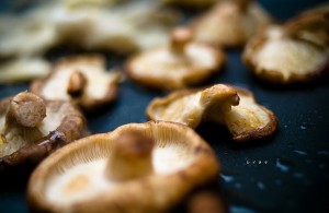 Shiitake