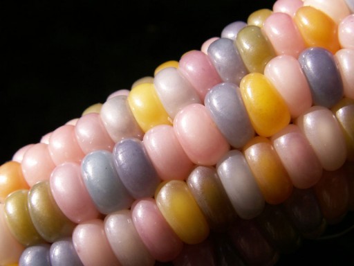 glass-gem-corn-rainbow-colored-2