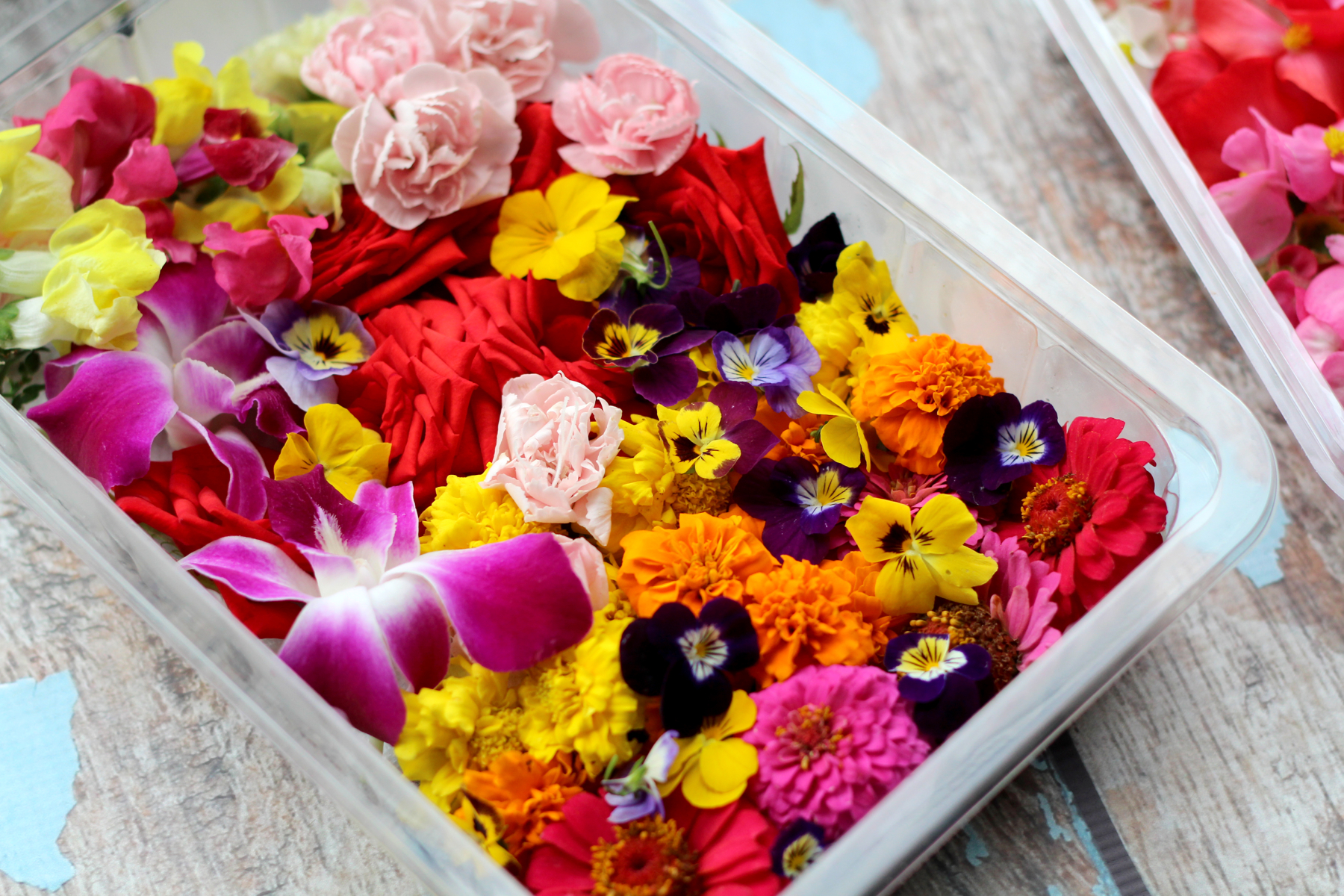 DIY ijsblokjes met eetbare bloemen Culy nl