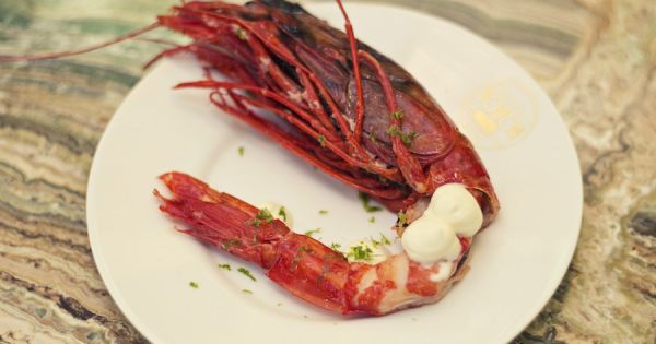 La Grande Brasserie Bodon / Carabineros garnaal