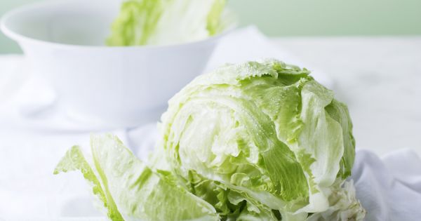 houdbaarheid van sla kropsla