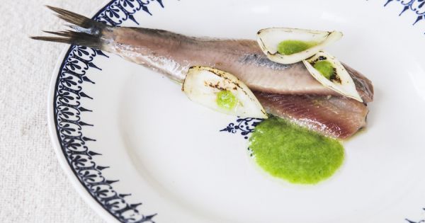 Haring recept Estée Strooker