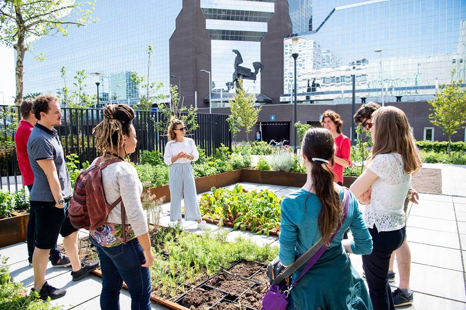 hotspot The Green House Utrecht 1