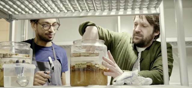 Noma's handboek voor fermenteren