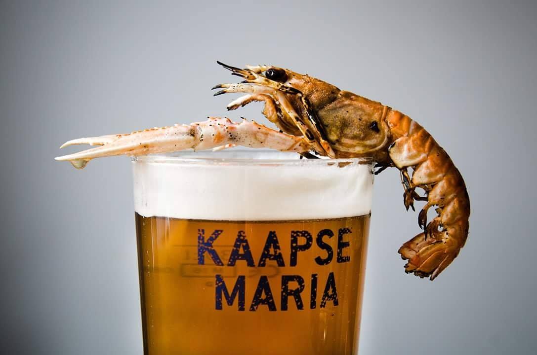 Bierbrouwerijen in Zuid-Holland