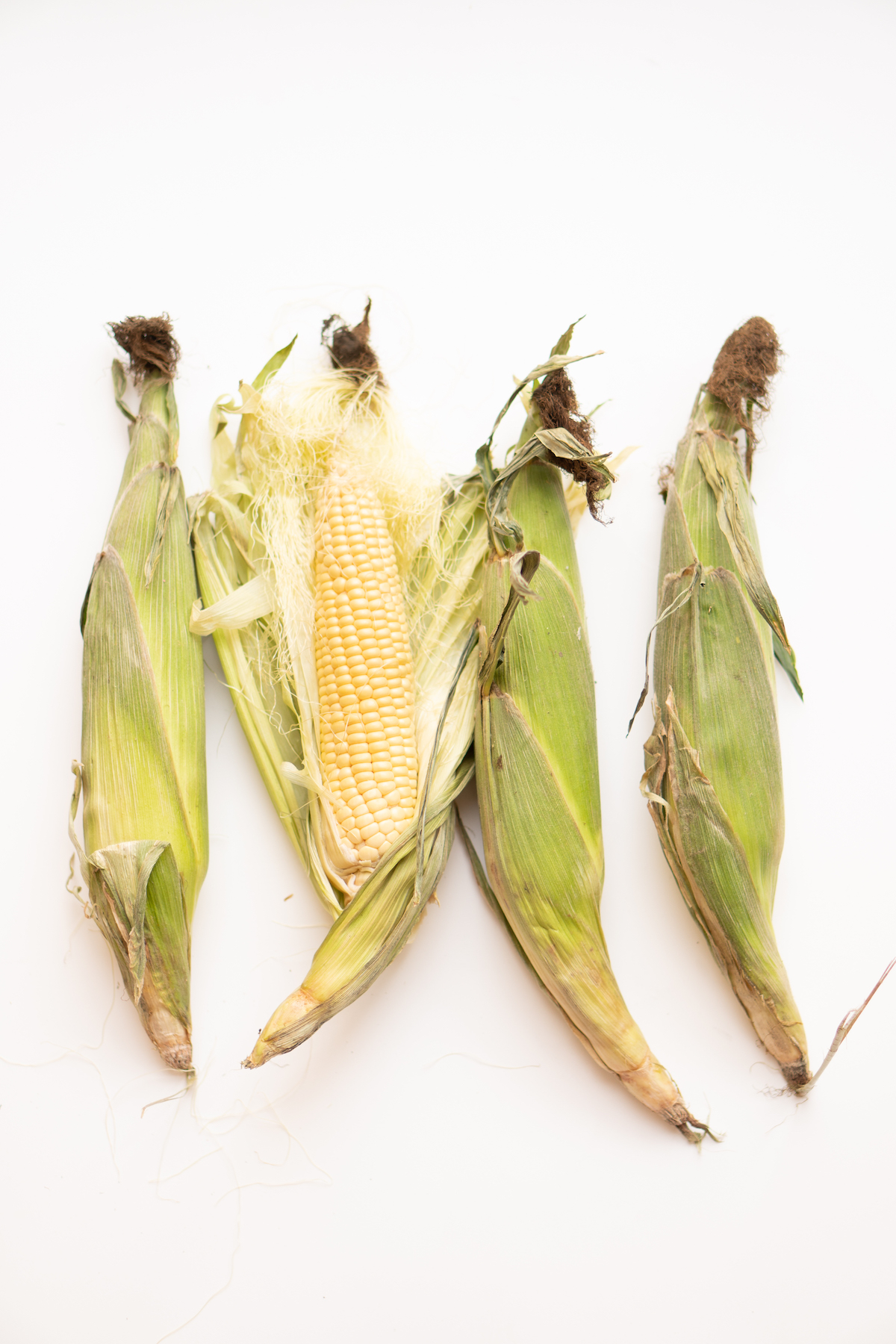 Verse mais / maiskolven