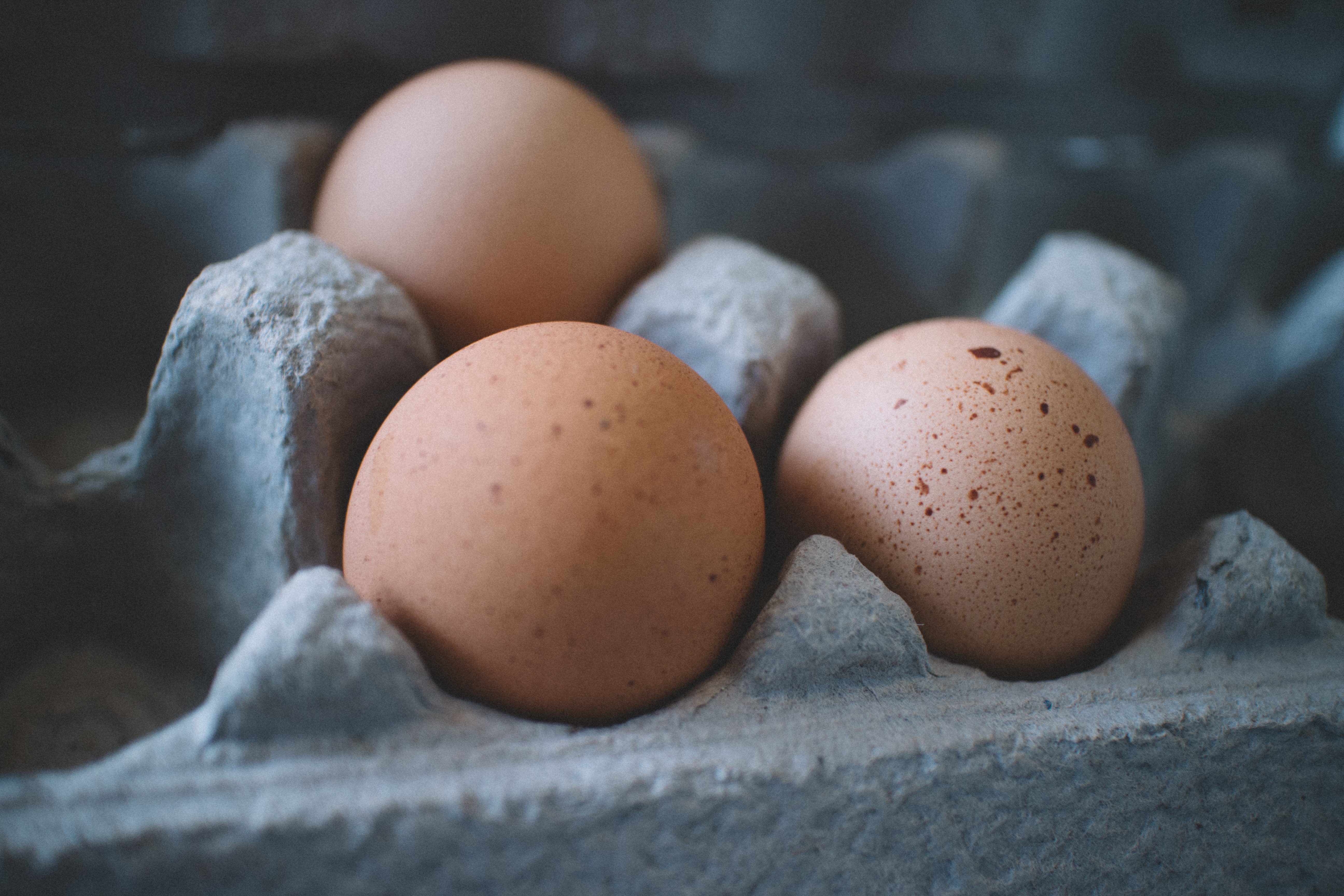 Stun Populair Doorlaatbaarheid Hoe lang kun je een gekookt ei bewaren? - Culy.nl