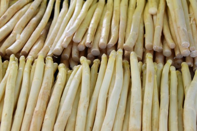 witte asperges