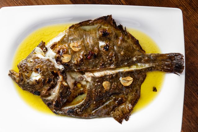 Tarbot (vis) bij Sagardi