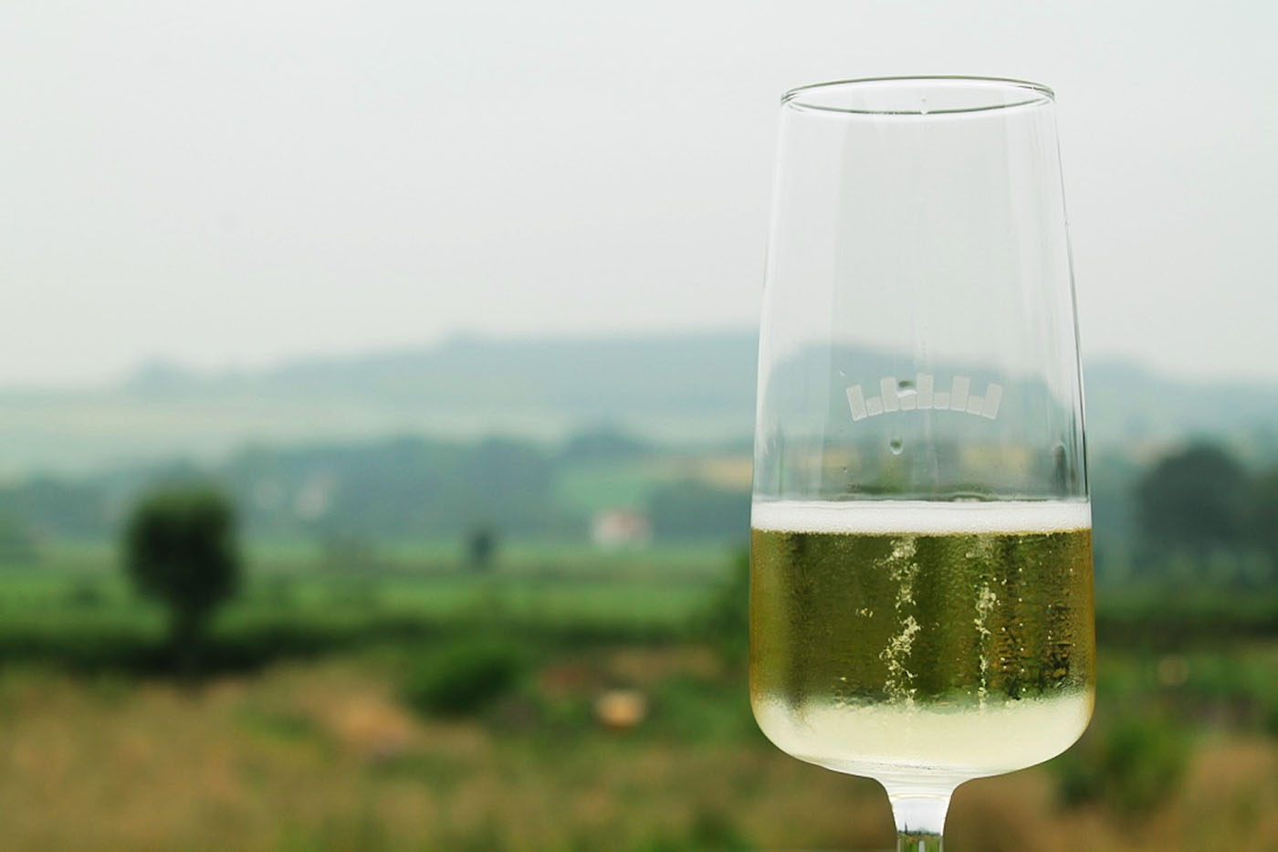 Wijnroute door Limburg