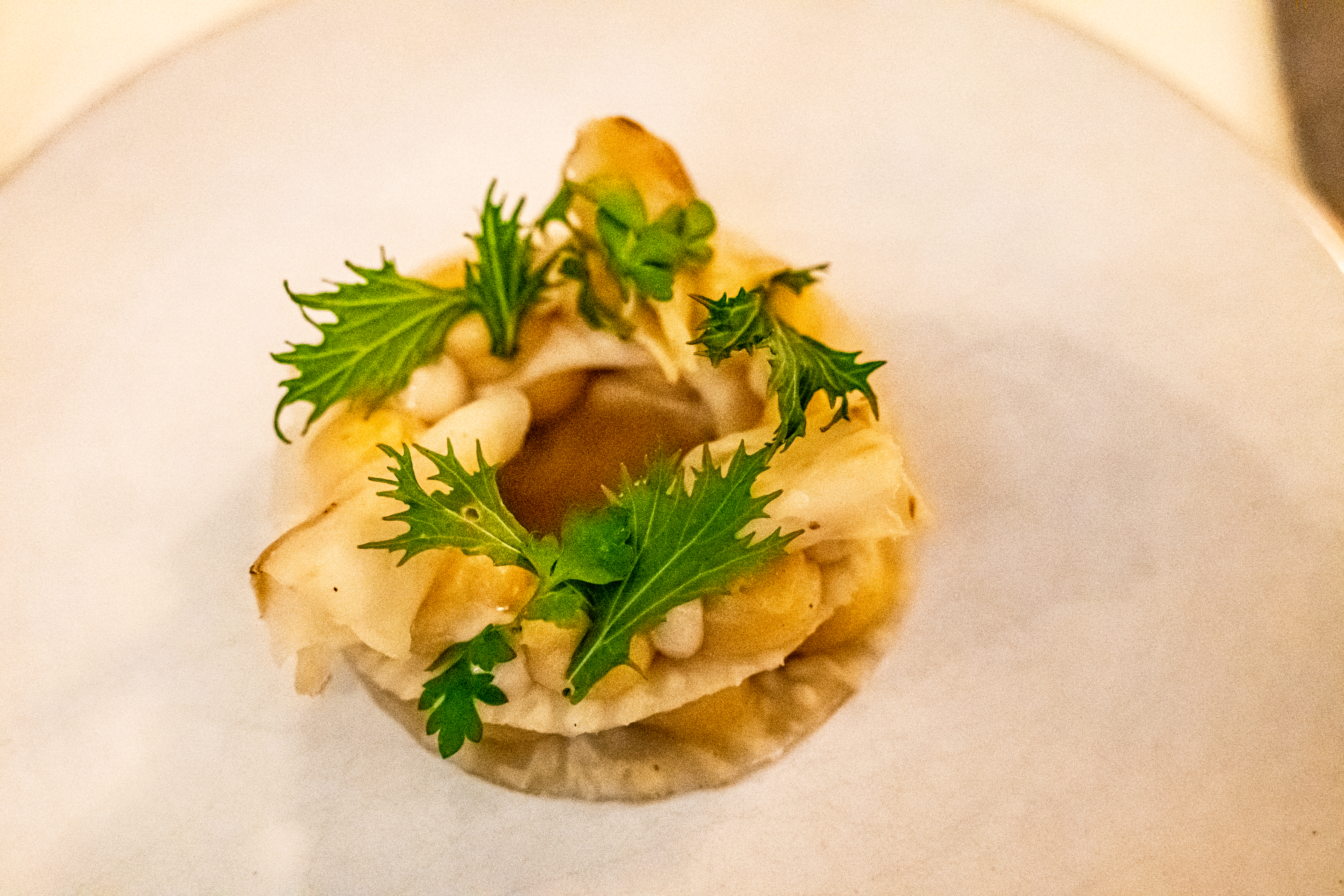 Humus & Hortense als illustratie van hotspots in Brussel