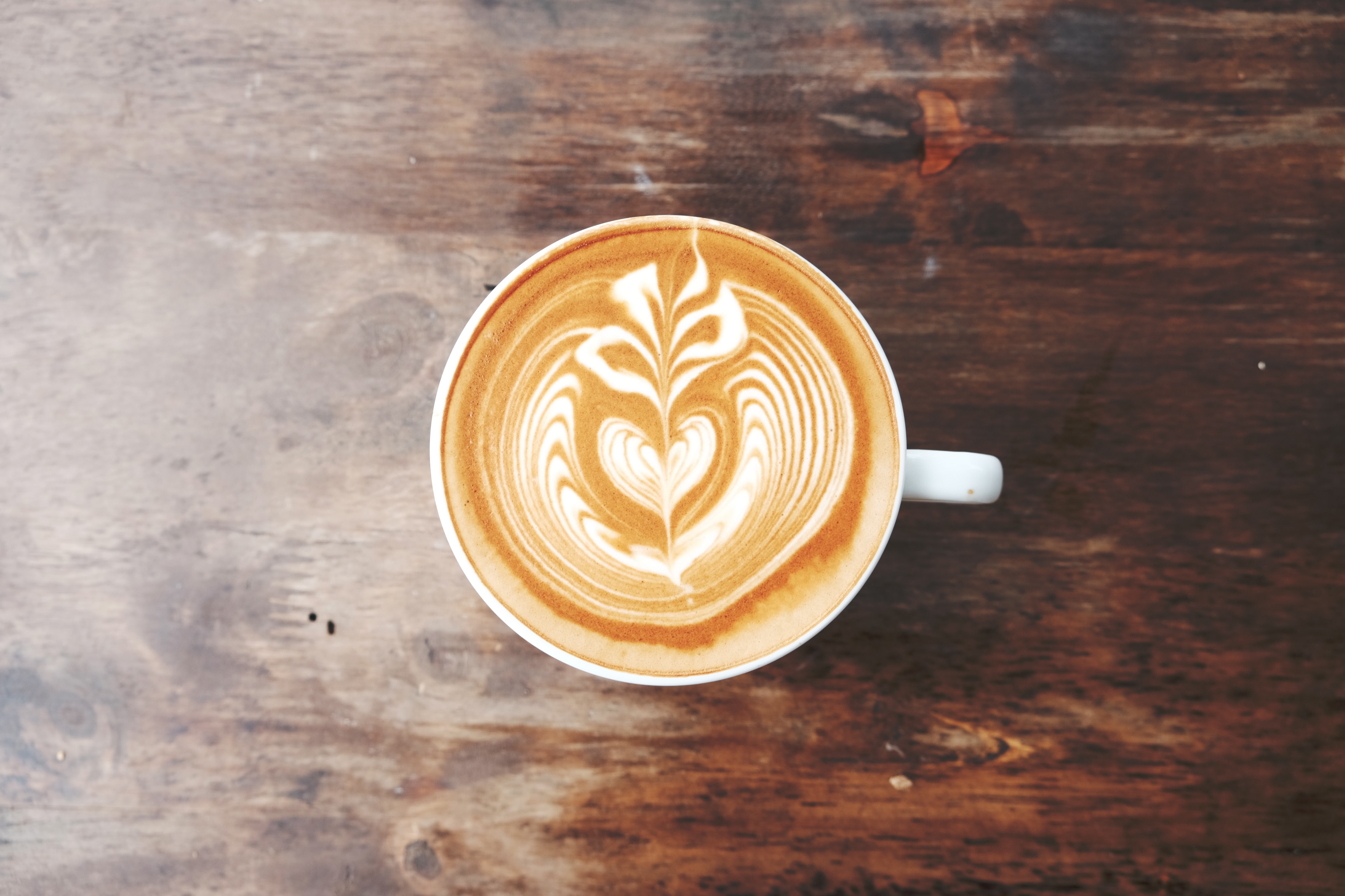 Welke (plantaardige) melk schuimt het beste? - Culy