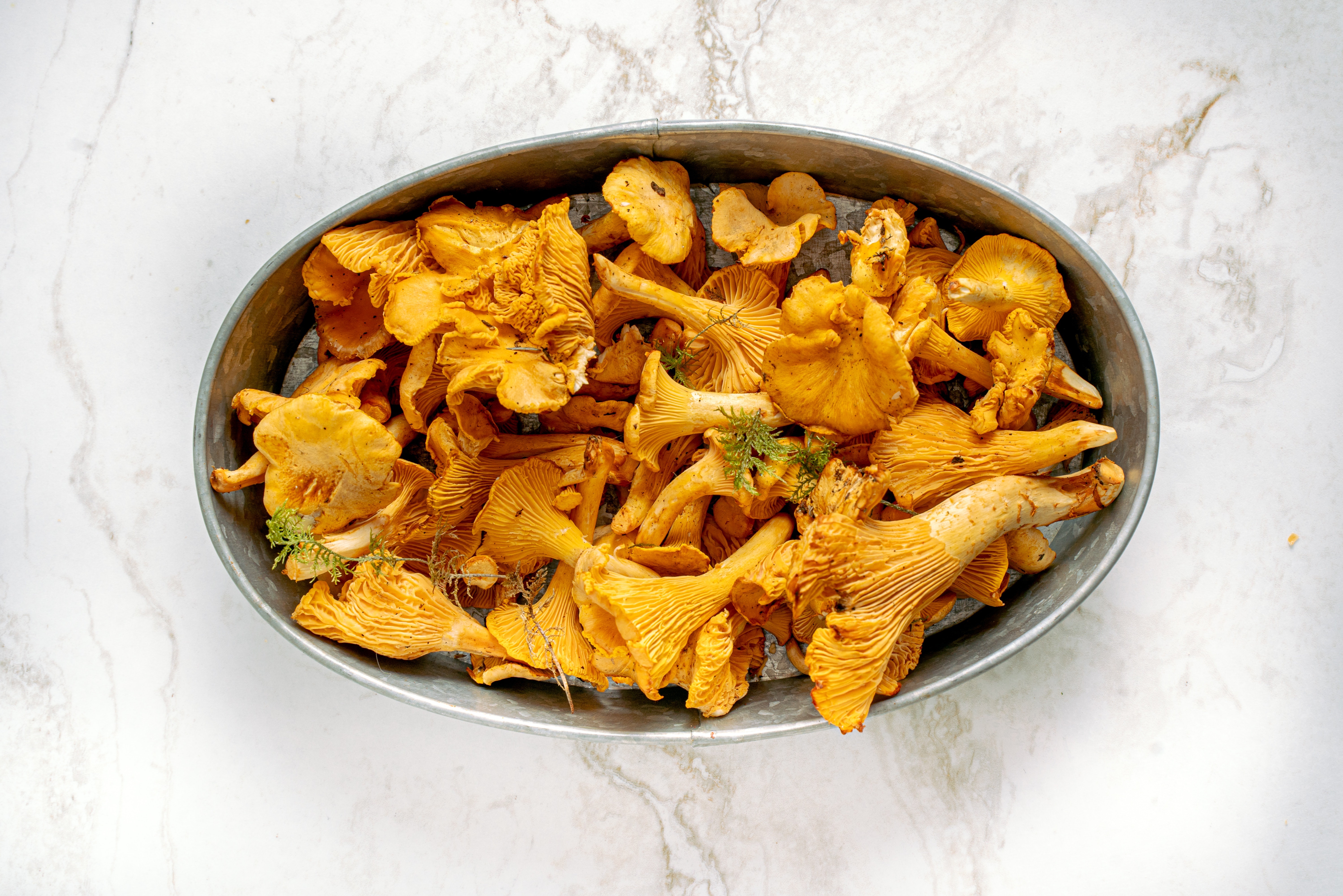 cantharellen stock pexels