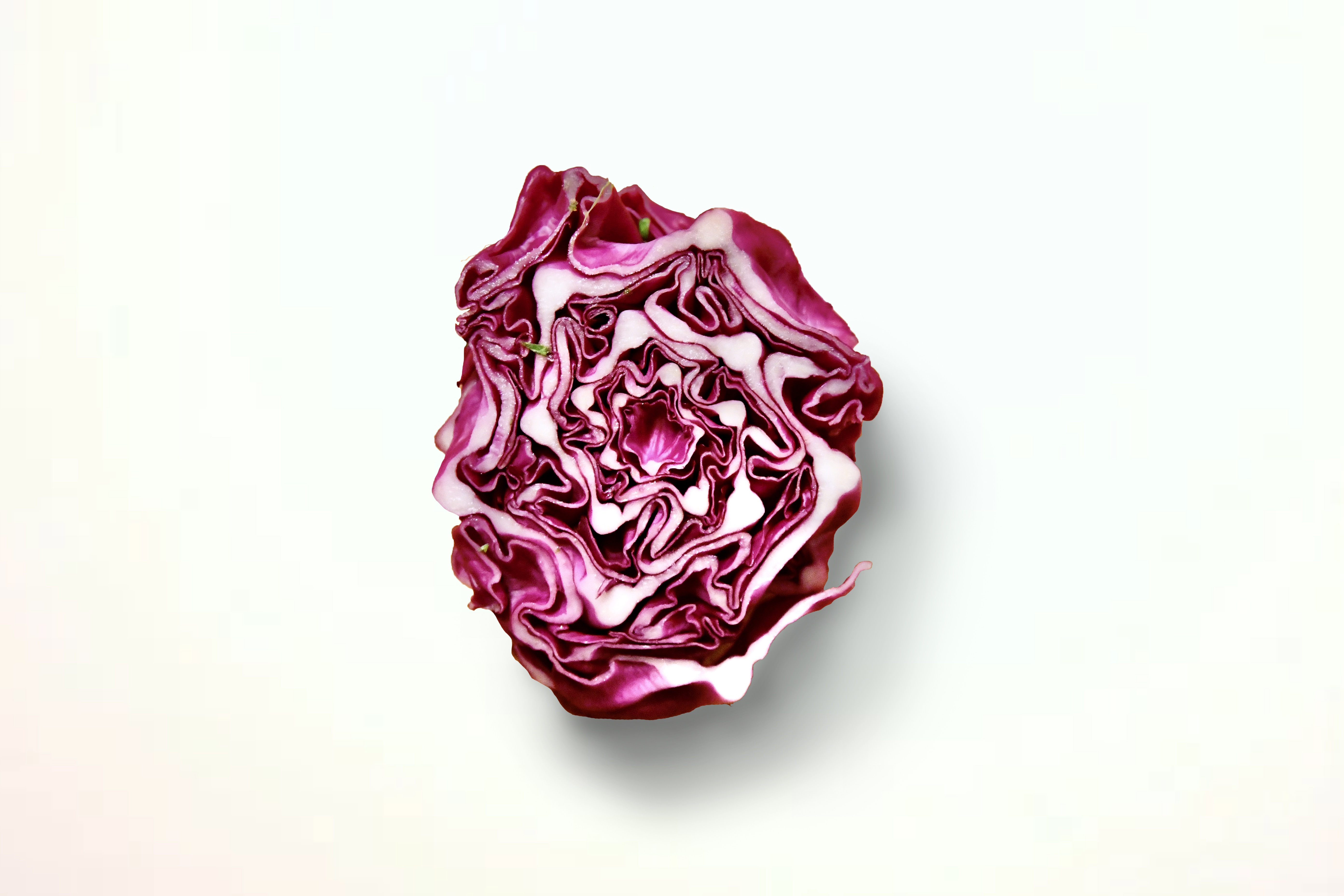 rode kool snijden stock unsplash