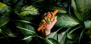 Brandt en Levie vegan worst