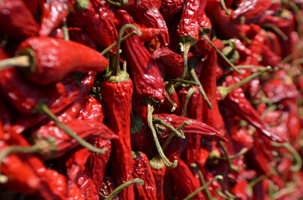 vega(n) 'nduja stock unsplash