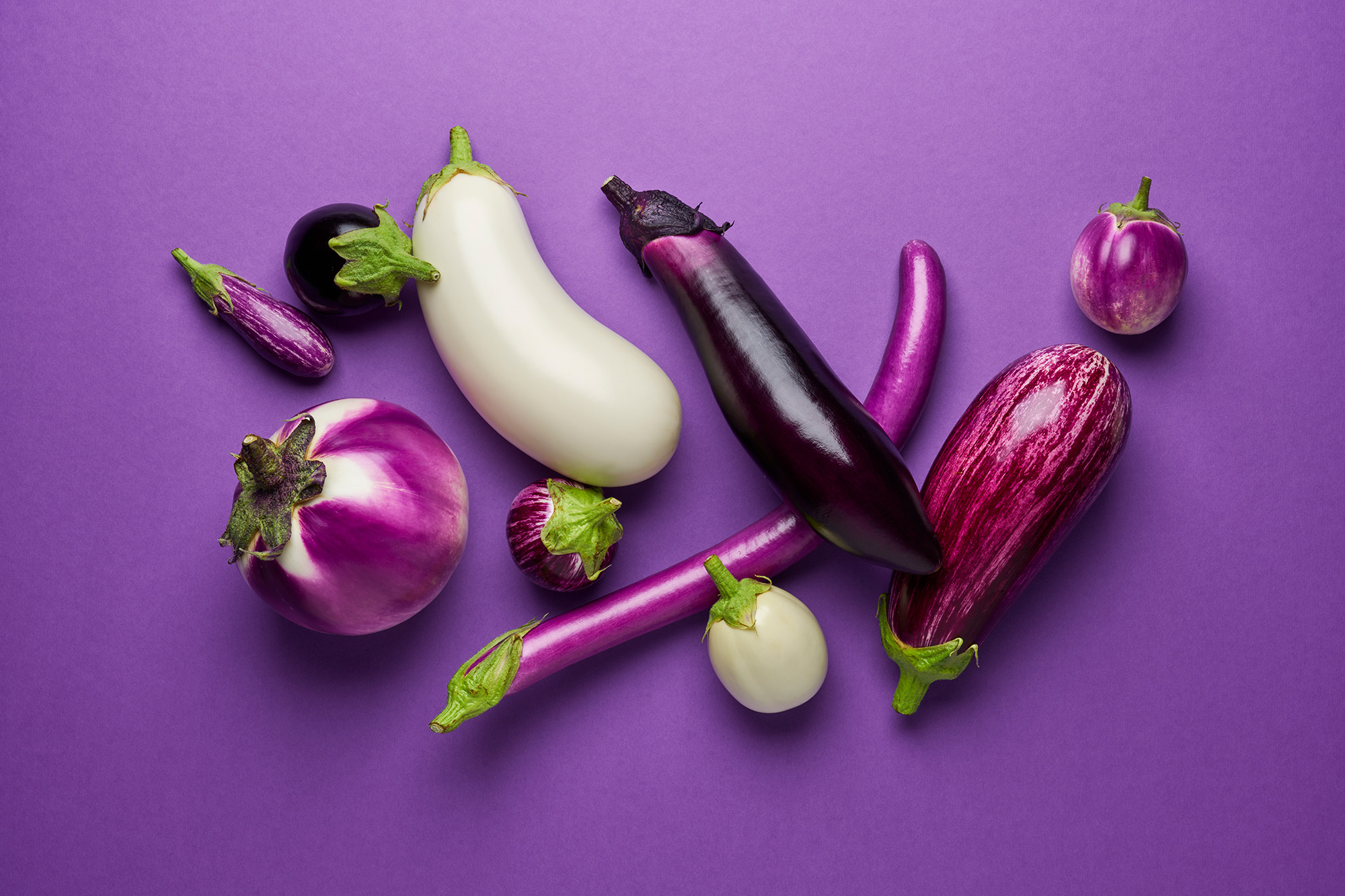 alle soorten aubergines