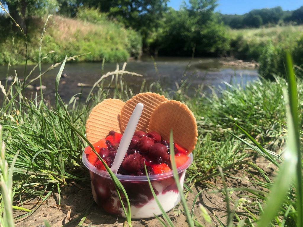 Wingbergerhoeve Fruit en IJs